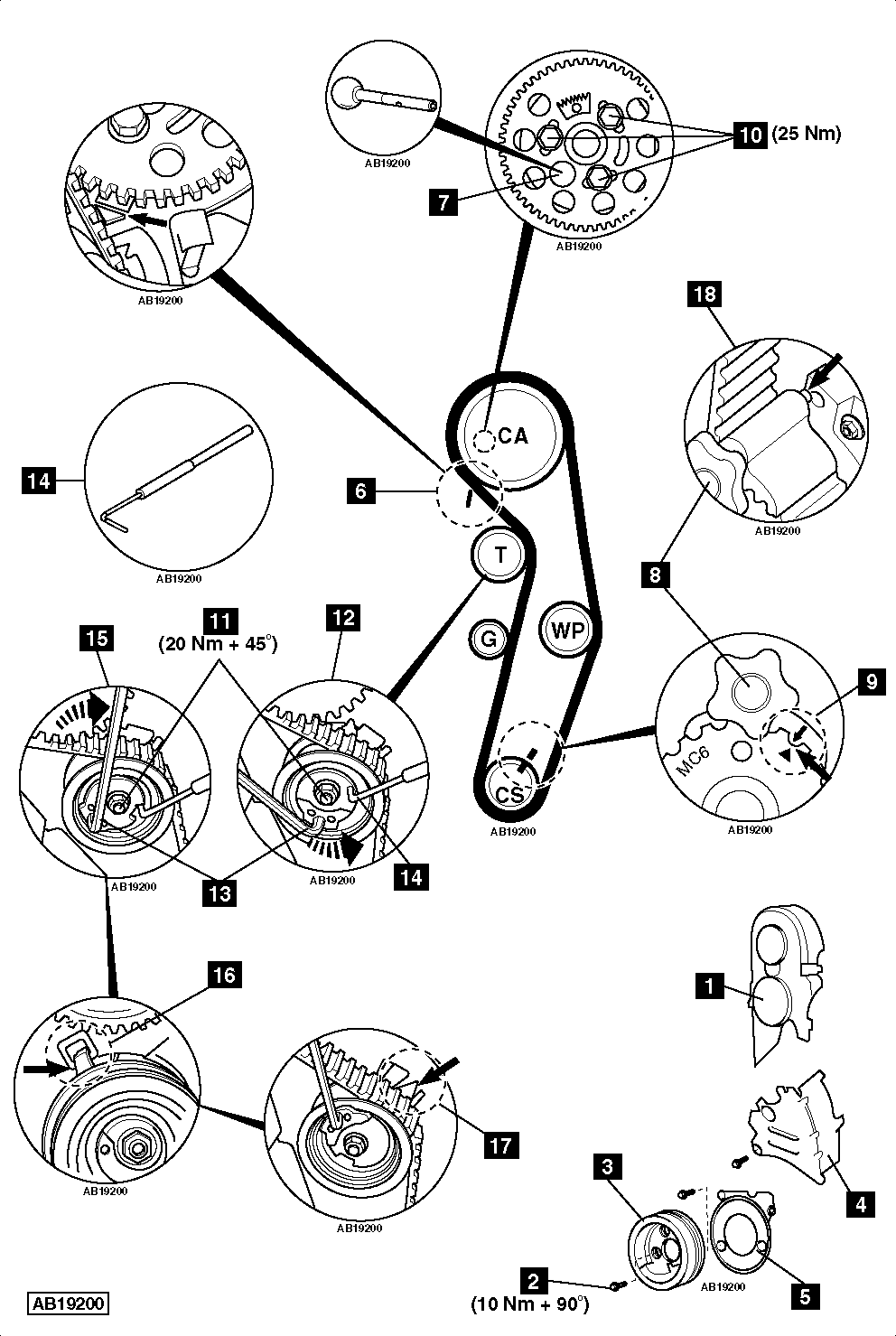 satywig belt