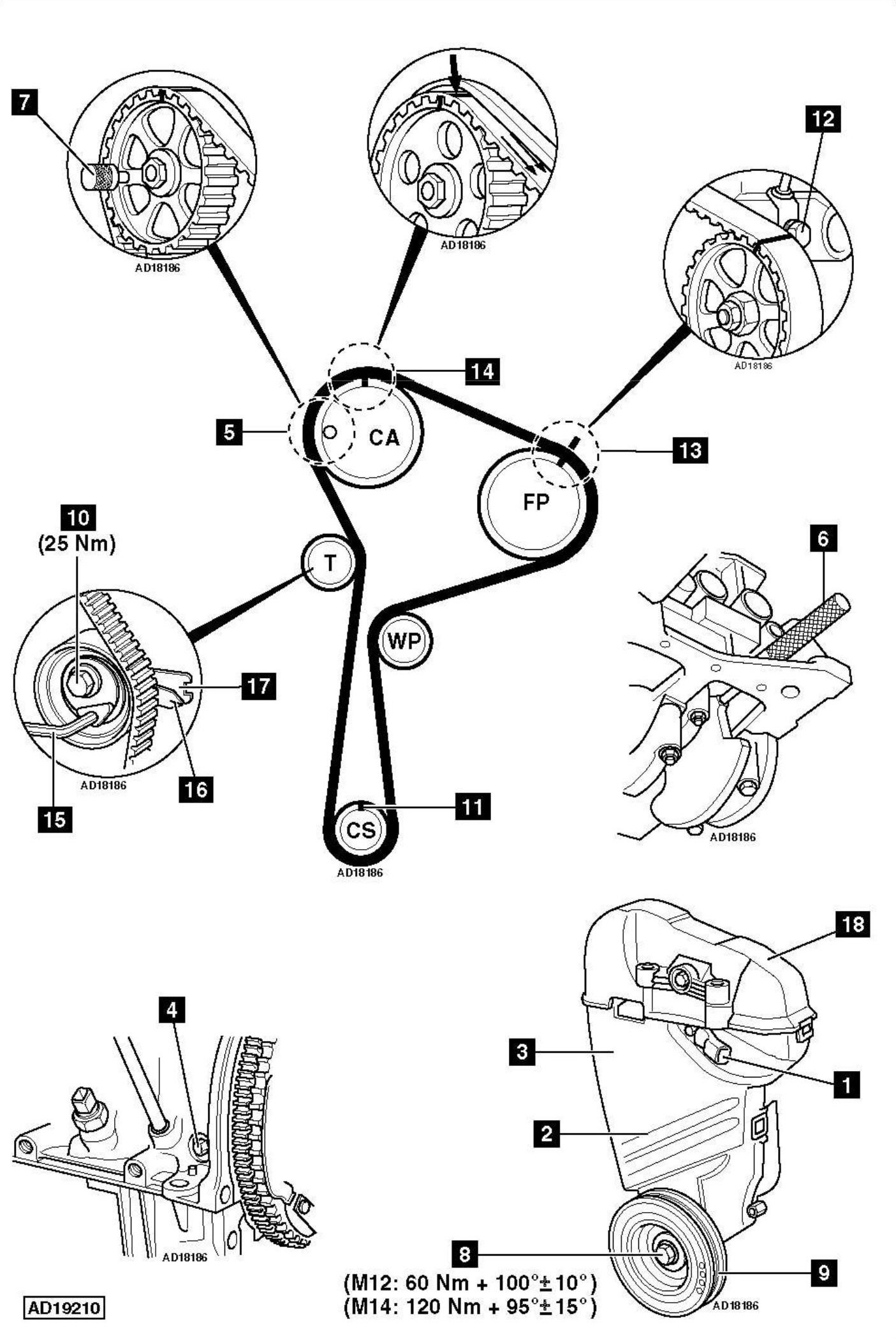 how much does a timing belt cost to replace